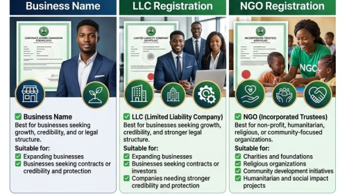 Business Name, LLC or NGO — Do You Know the Difference?